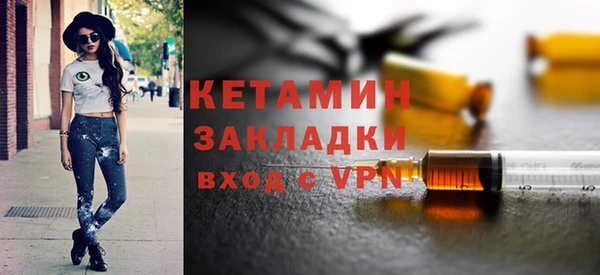шишки Пересвет